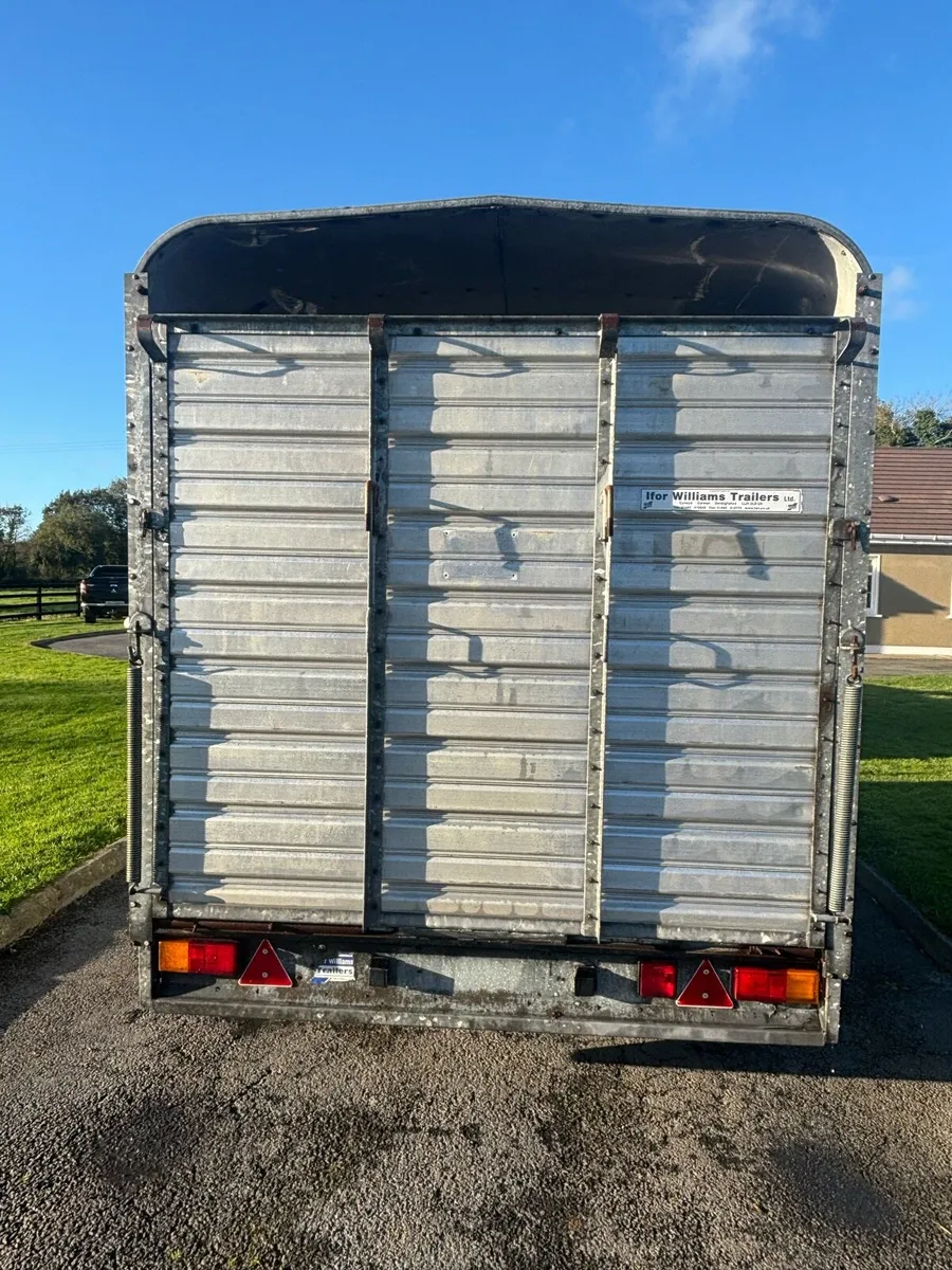 Iforwilliams cattle trailer - Image 3