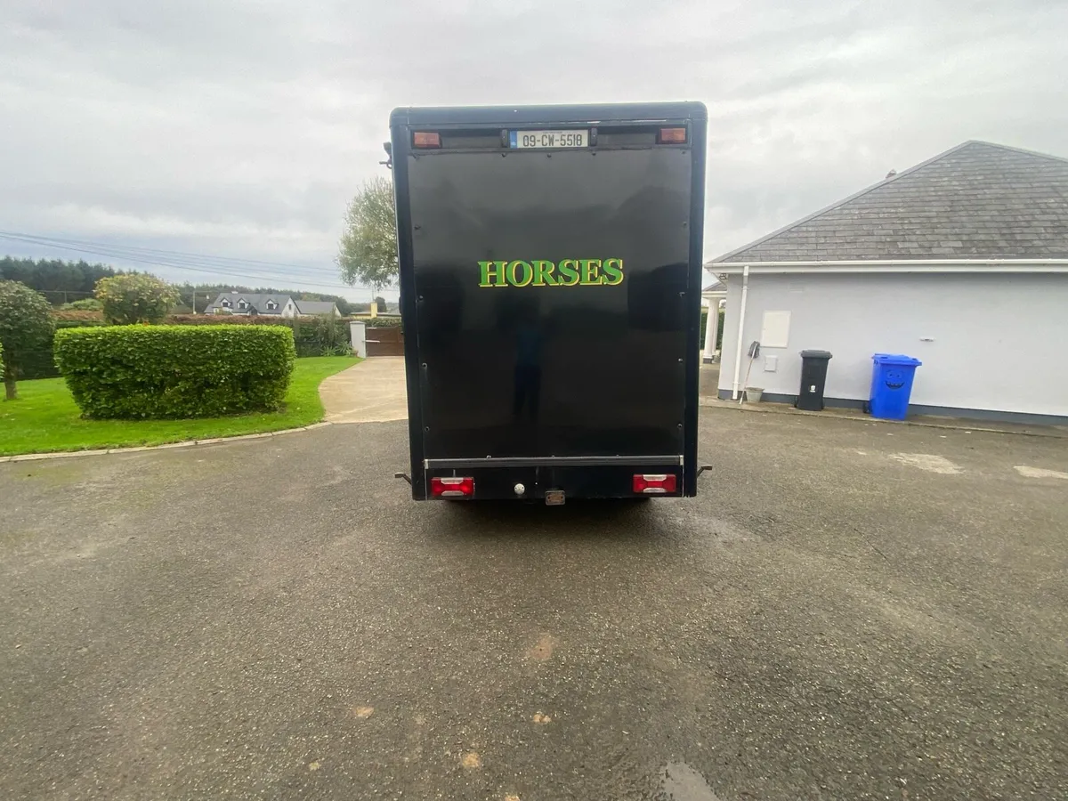 Iveco Daily horse lorry 3.5 tone - Image 2