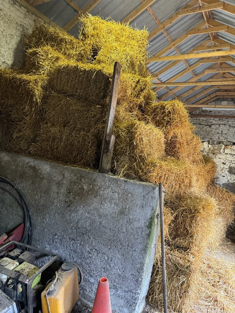 Small square bales of straw - Image 1