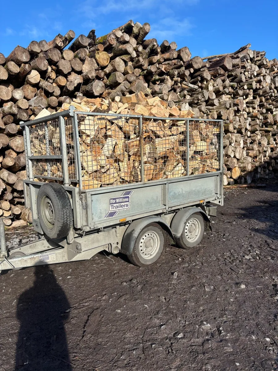 Firewood Kiln dried Beech and Ash. - Image 2