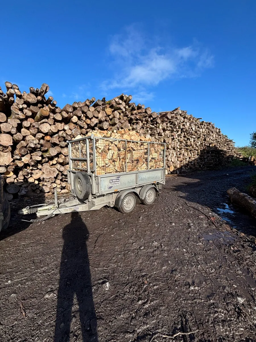 Firewood Kiln dried Beech and Ash. - Image 3