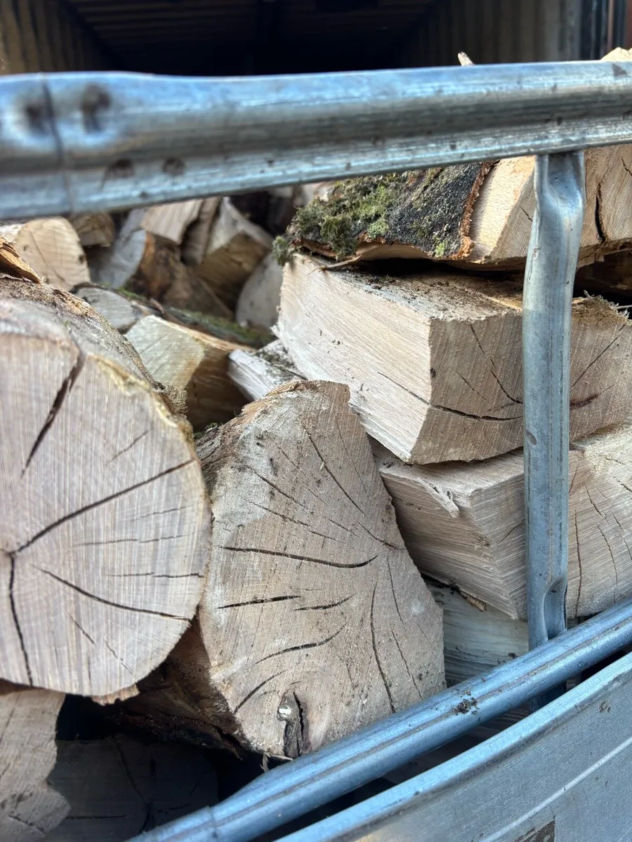 Firewood Kiln dried Beech and Ash. - Image 4