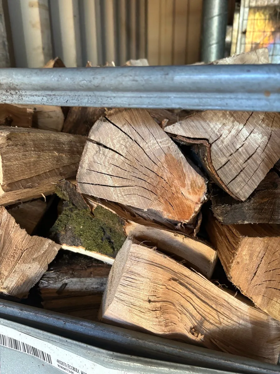 Firewood Kiln dried Beech and Ash. - Image 1