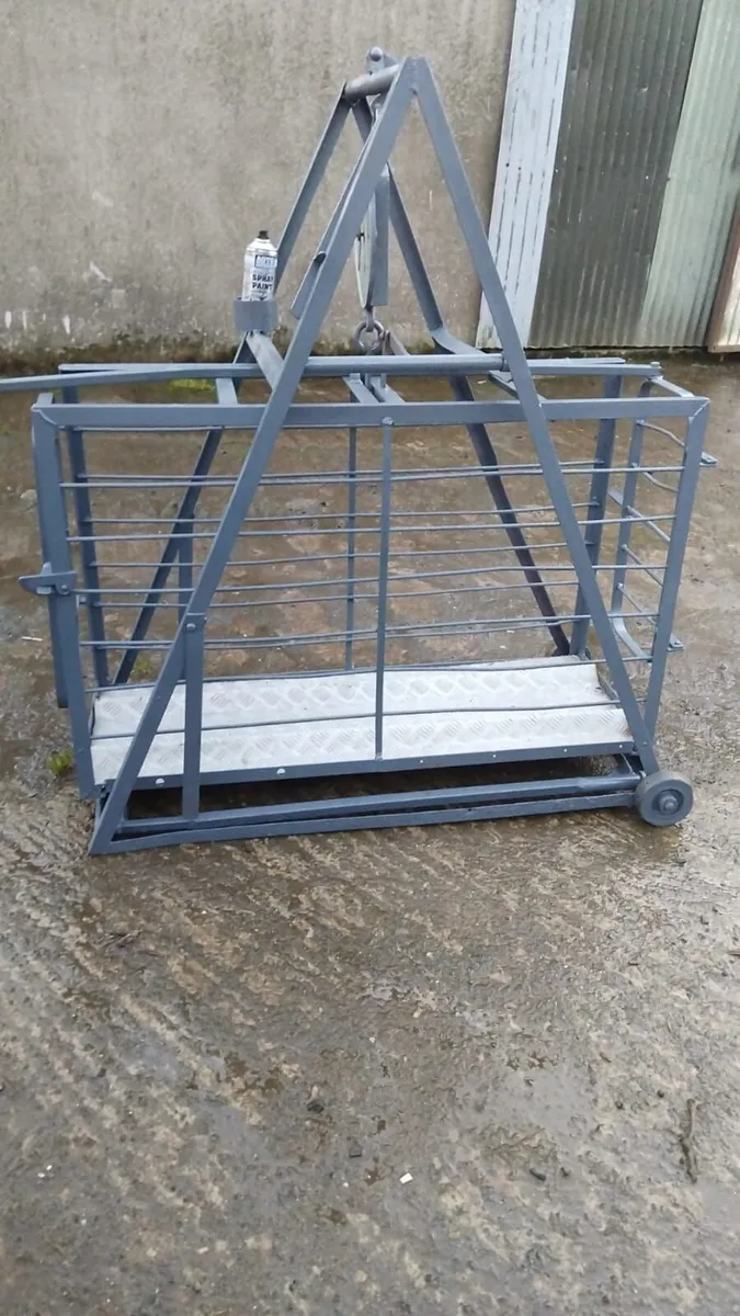 Sheep Weigh Bridge - Image 3