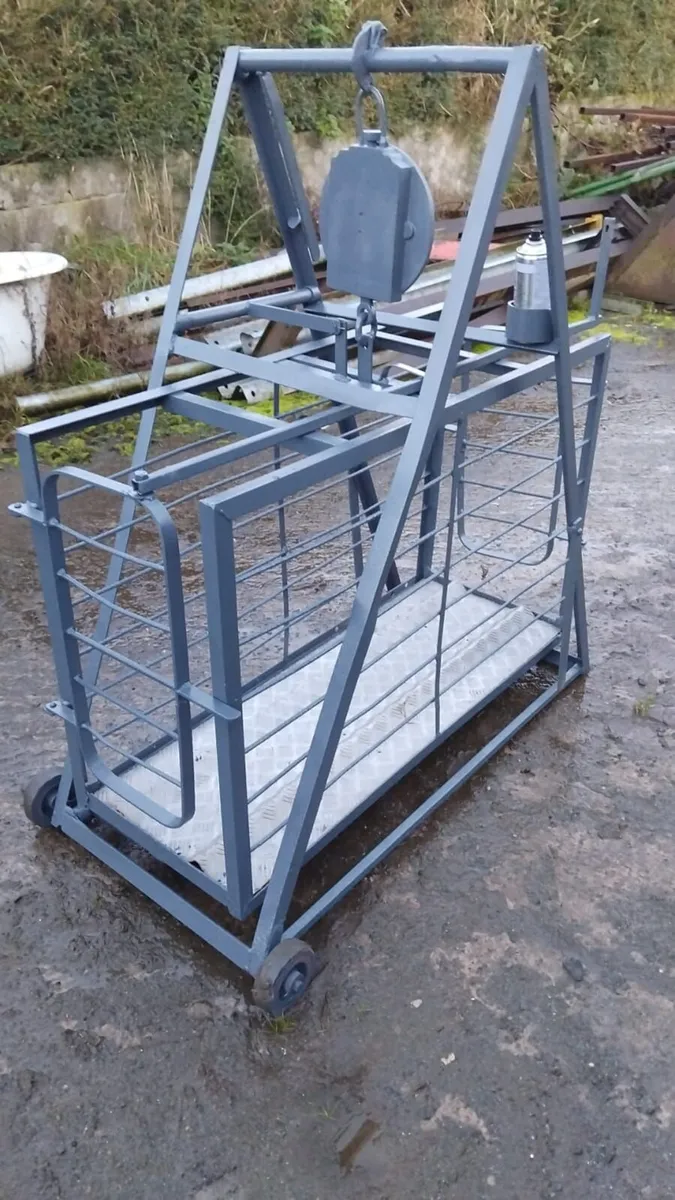 Sheep Weigh Bridge - Image 1