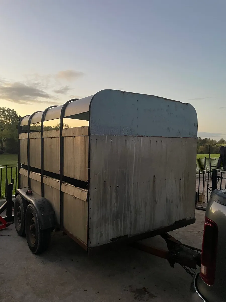 Ifor Williams Cattle trailer - Image 1