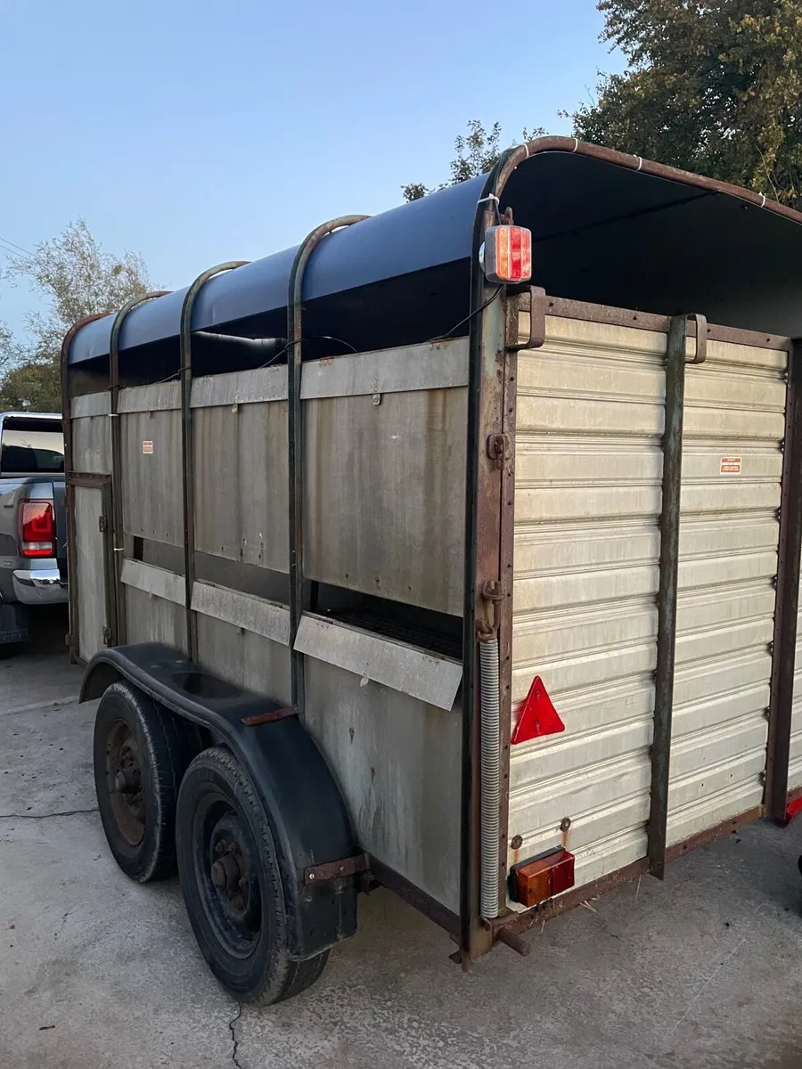 Ifor Williams Cattle trailer - Image 2