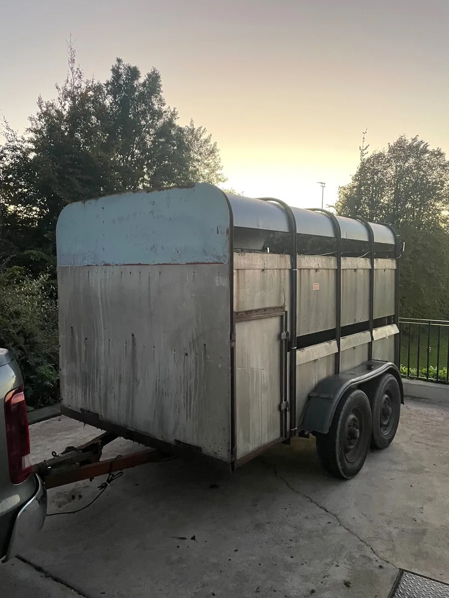 Ifor Williams Cattle trailer - Image 3