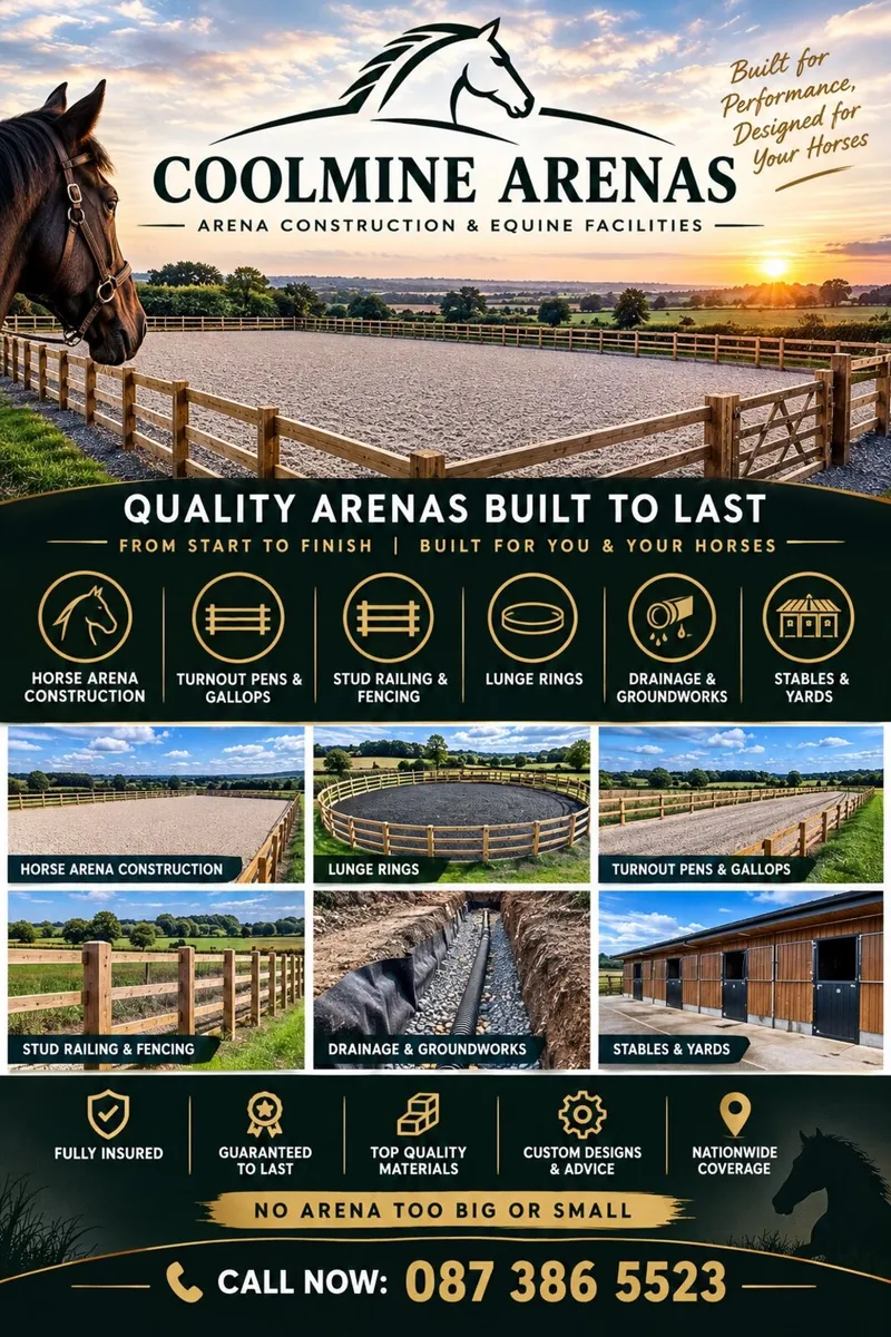 Horse arena construction - Image 1