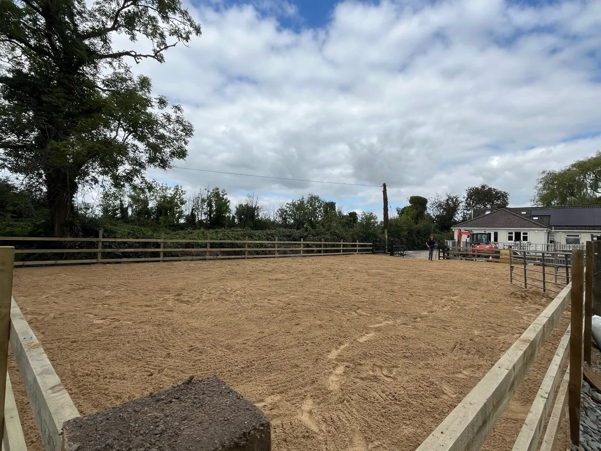 Horse arena construction - Image 2