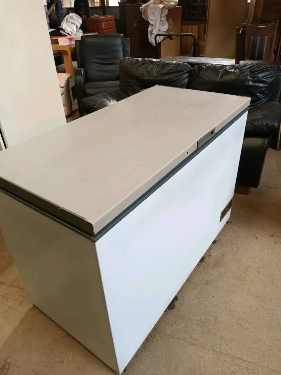 Chest Freezer - Image 1