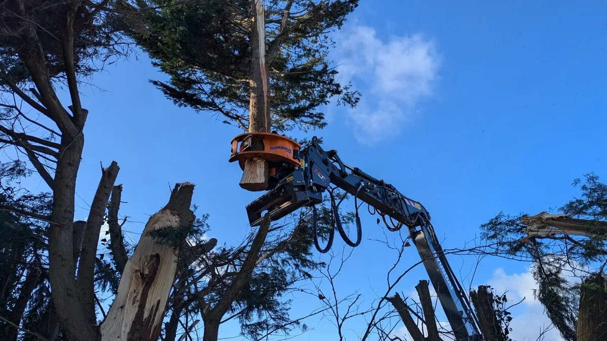 Grapplesaw - Image 3