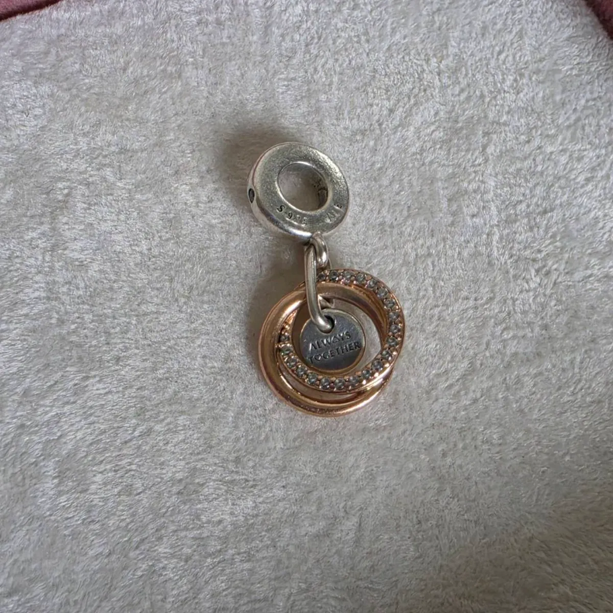 PANDORA FAMILY ALWAYS ENCIRCLED CHARM - Image 1