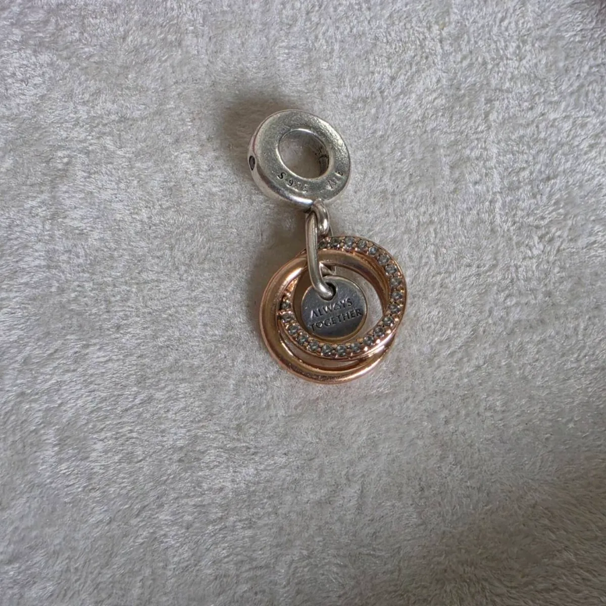 PANDORA FAMILY ALWAYS ENCIRCLED CHARM - Image 3