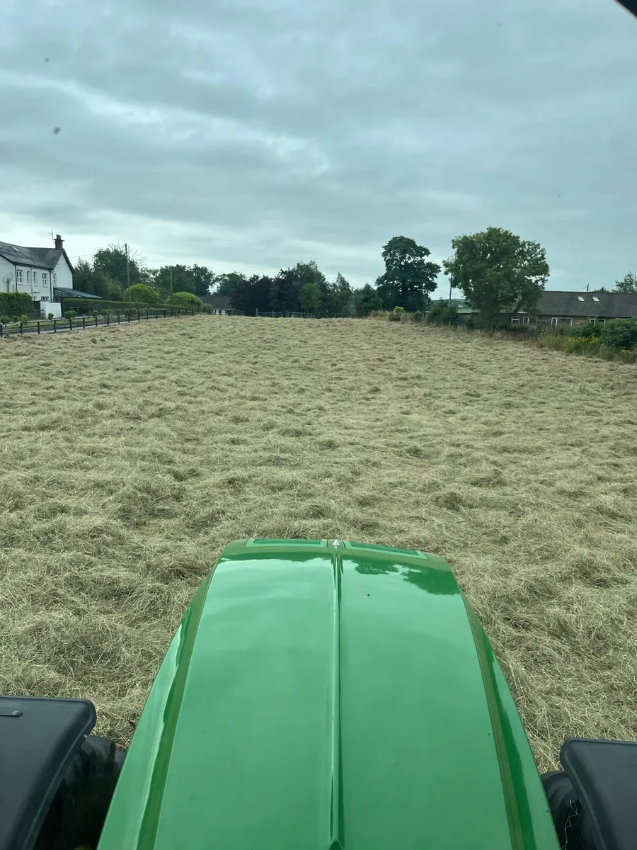 Quality wheat straw, hay, haylage,baled/pit silage - Image 4