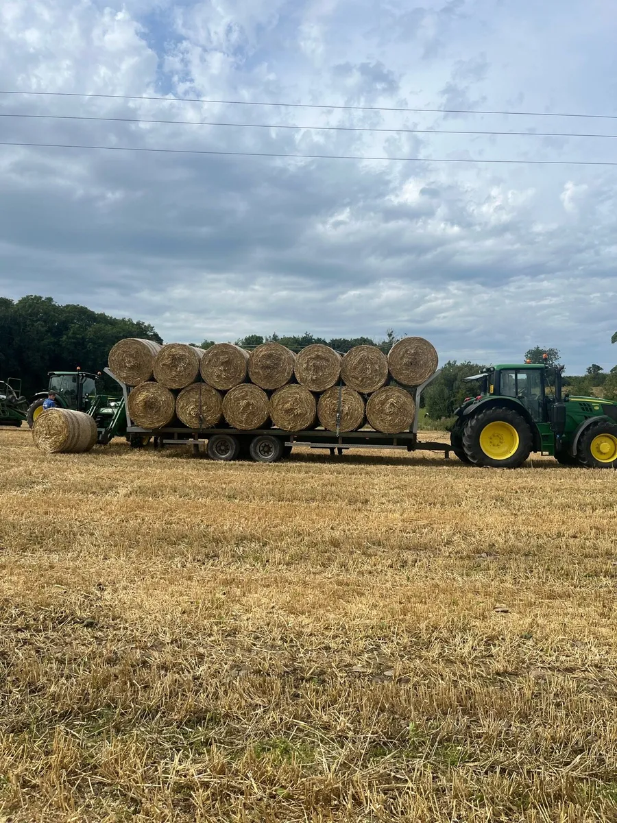 Quality wheat straw, hay, haylage,baled/pit silage - Image 1