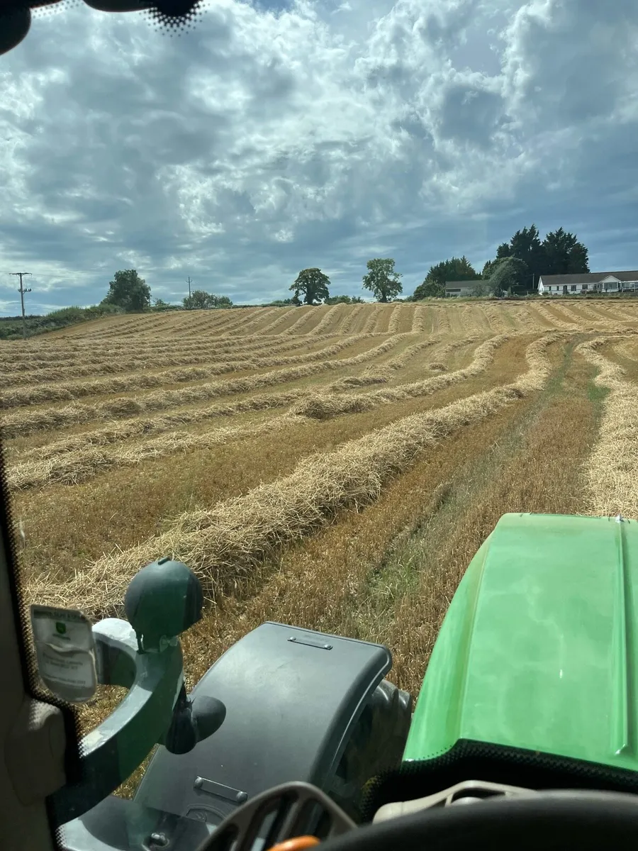 Quality wheat straw, hay, haylage,baled/pit silage - Image 2