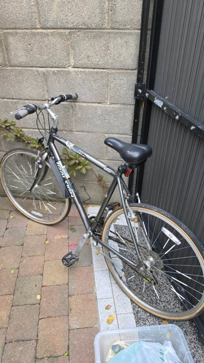 Raleigh P2000alu - Image 1