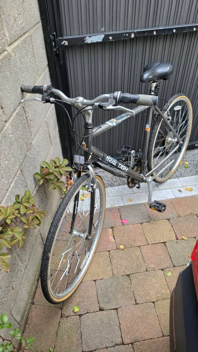 Raleigh P2000alu - Image 2