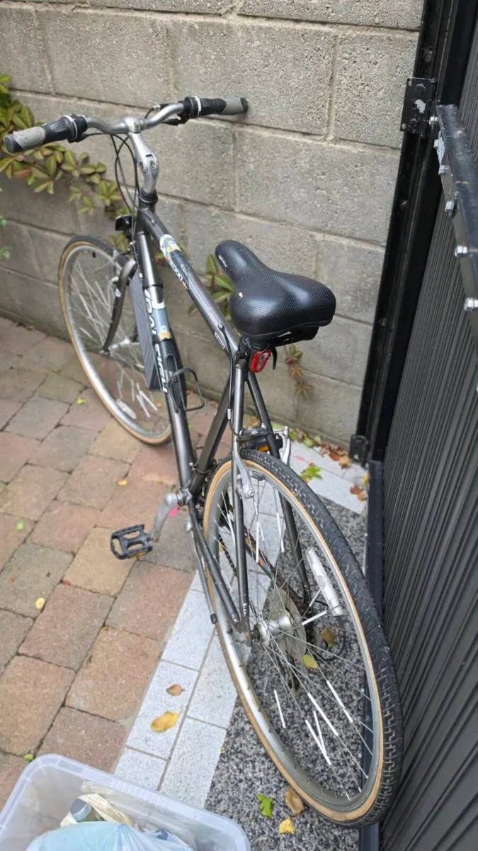 Raleigh P2000alu - Image 3
