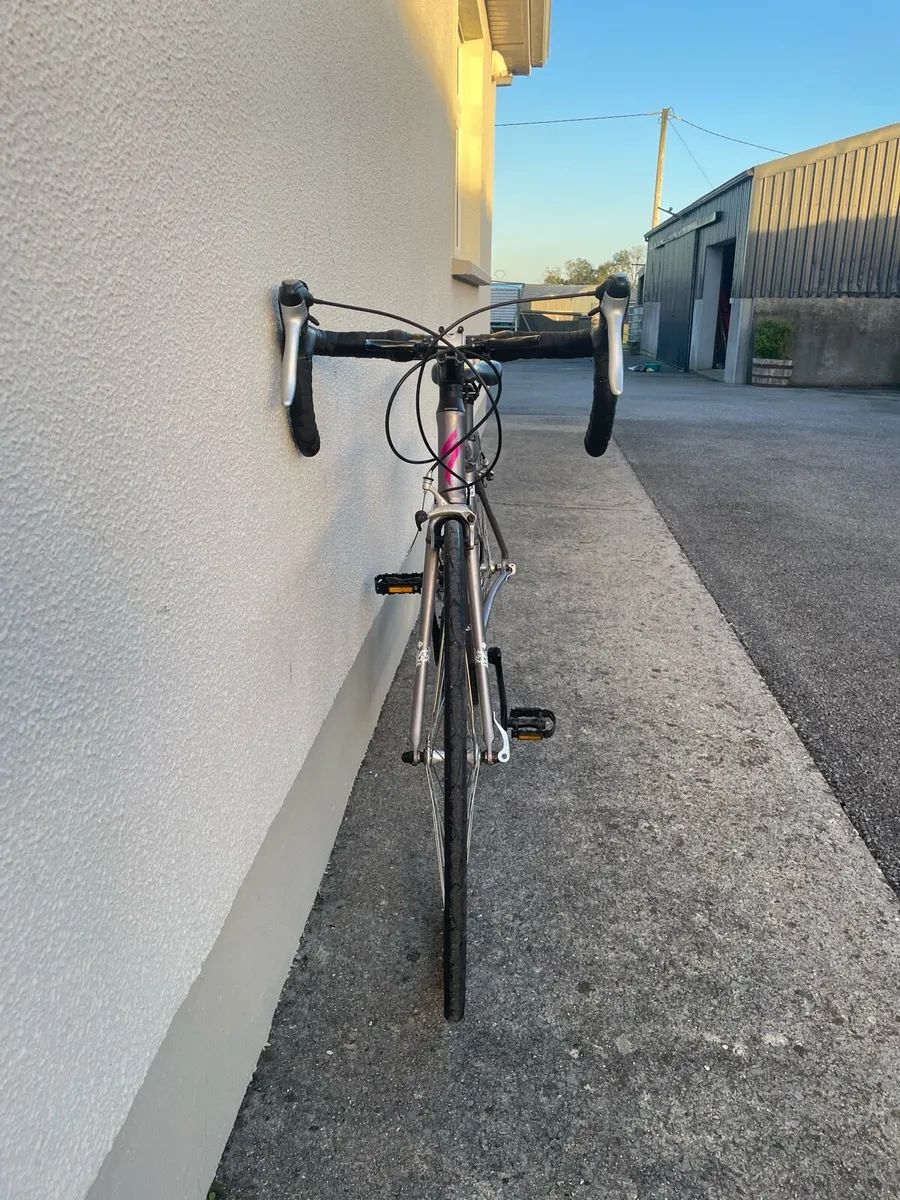 Specialized Dolce Road Racing Bike - Image 2