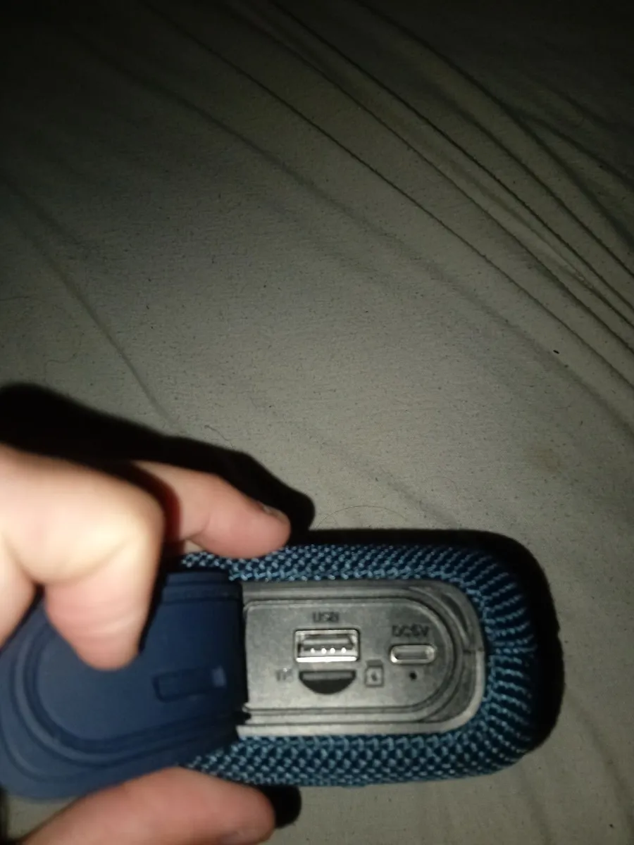 Speaker - Image 2