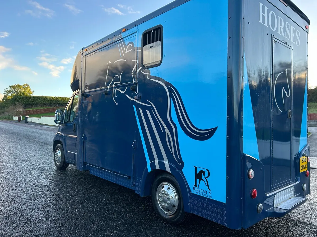 Horse Truck stallion partition NI REG200VRT - Image 2