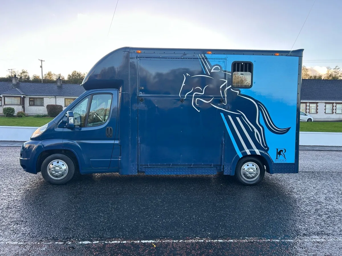 Horse Truck stallion partition NI REG200VRT - Image 3