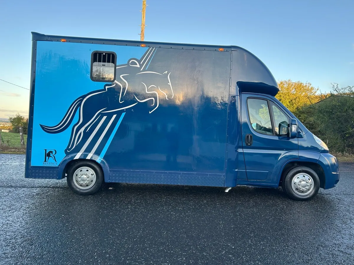 Horse Truck stallion partition NI REG200VRT - Image 4