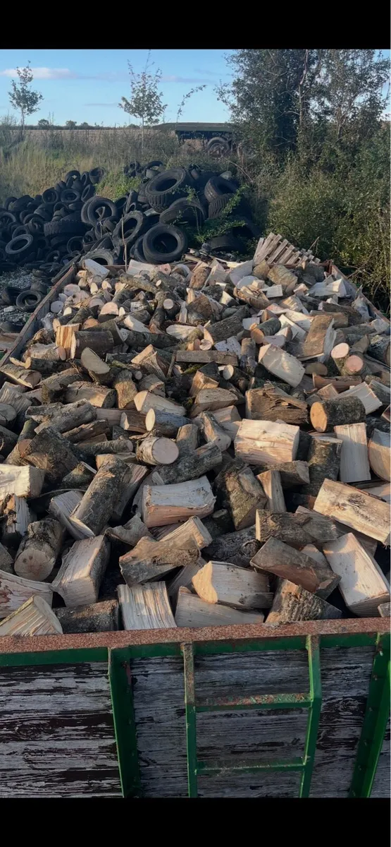 Firewood - Image 1