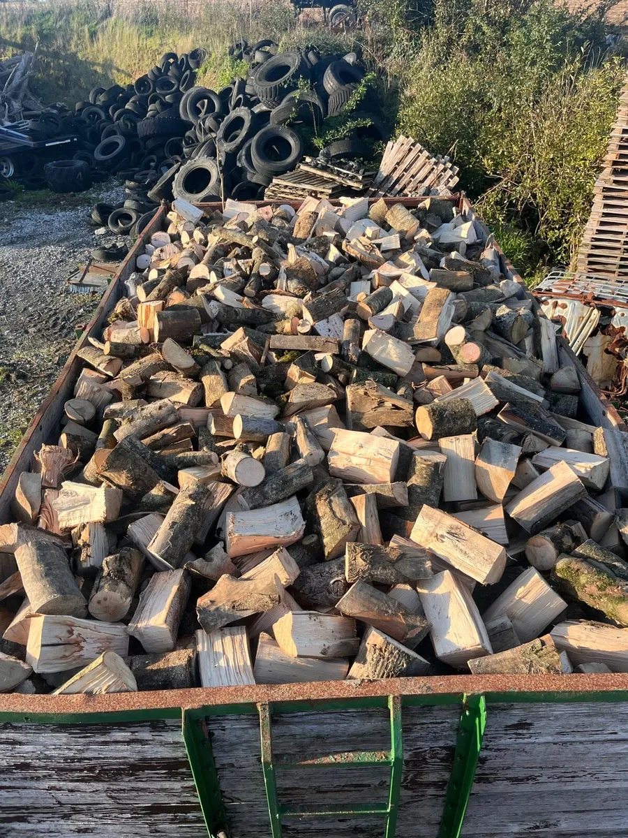 Firewood - Image 2
