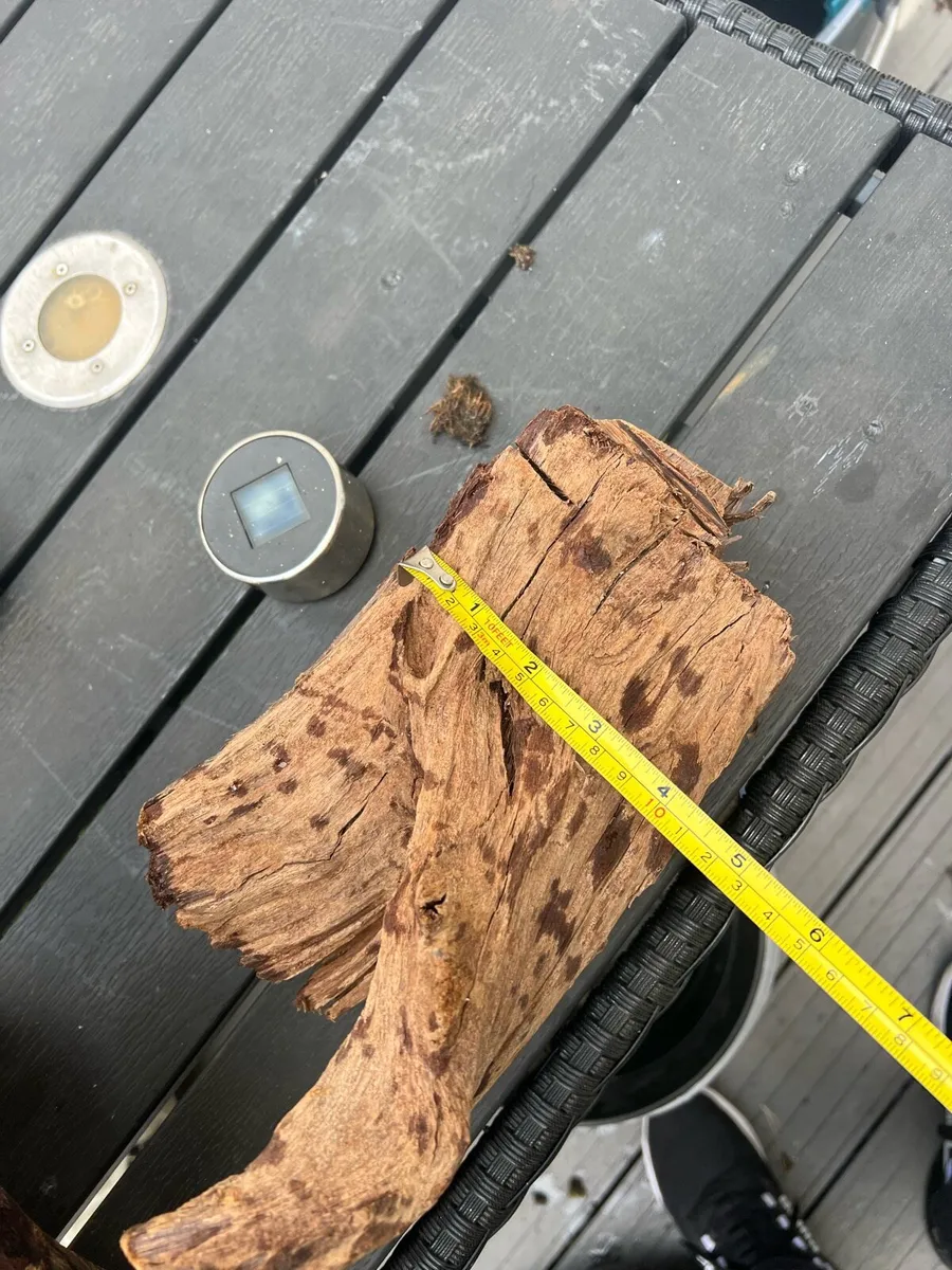 Fish tank wood for fish tank - Image 2