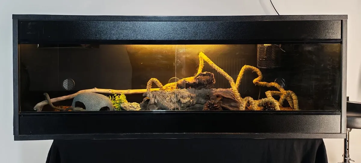 Black wood vivarium - Image 1