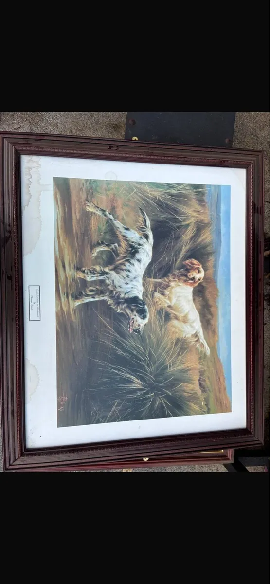 Photos - Image 2