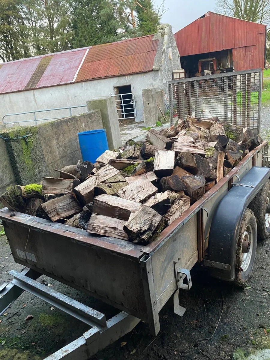 Ash firewood - Image 2