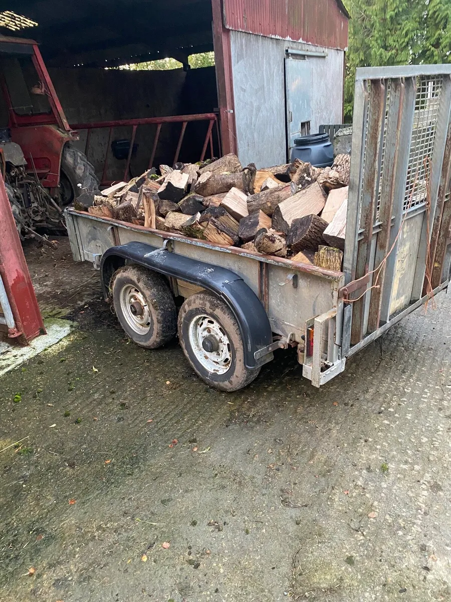 Ash firewood - Image 1