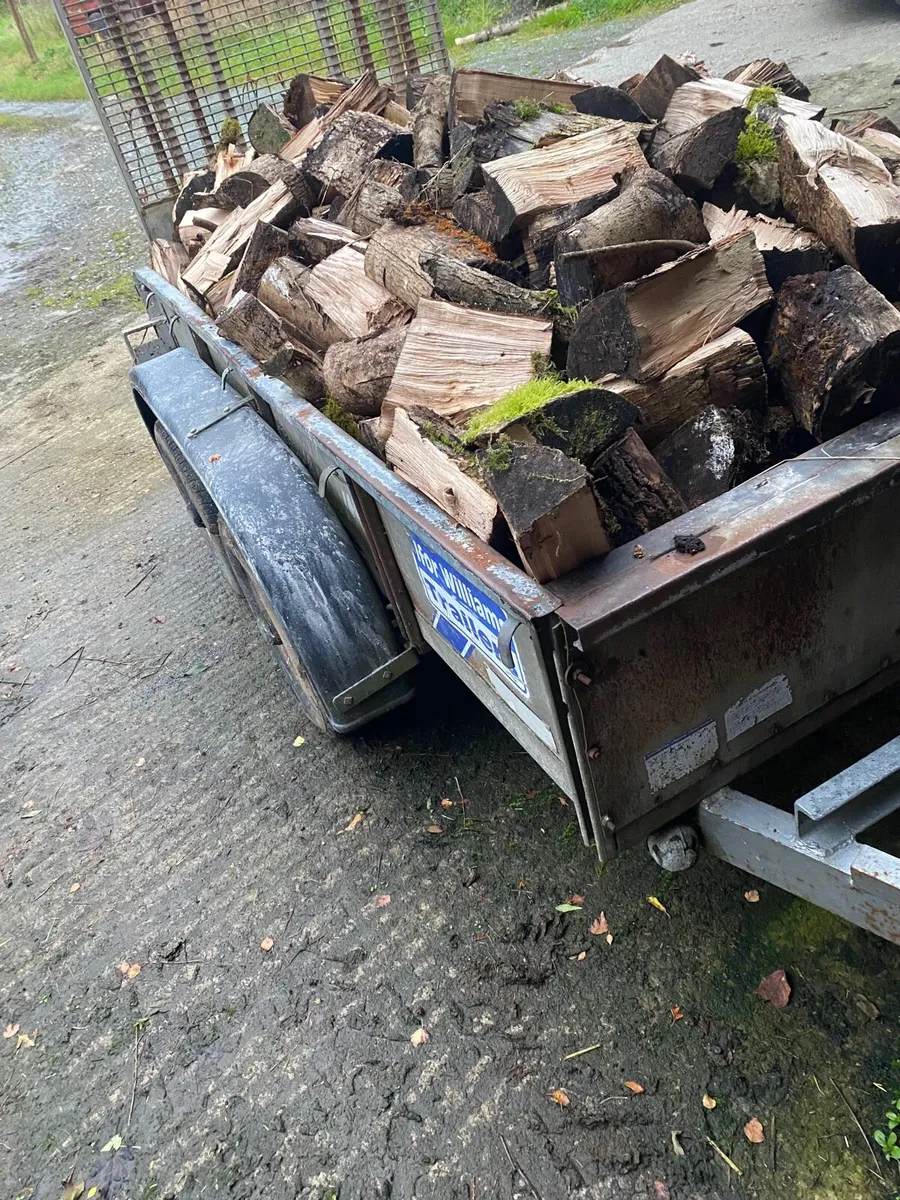 Ash firewood - Image 4
