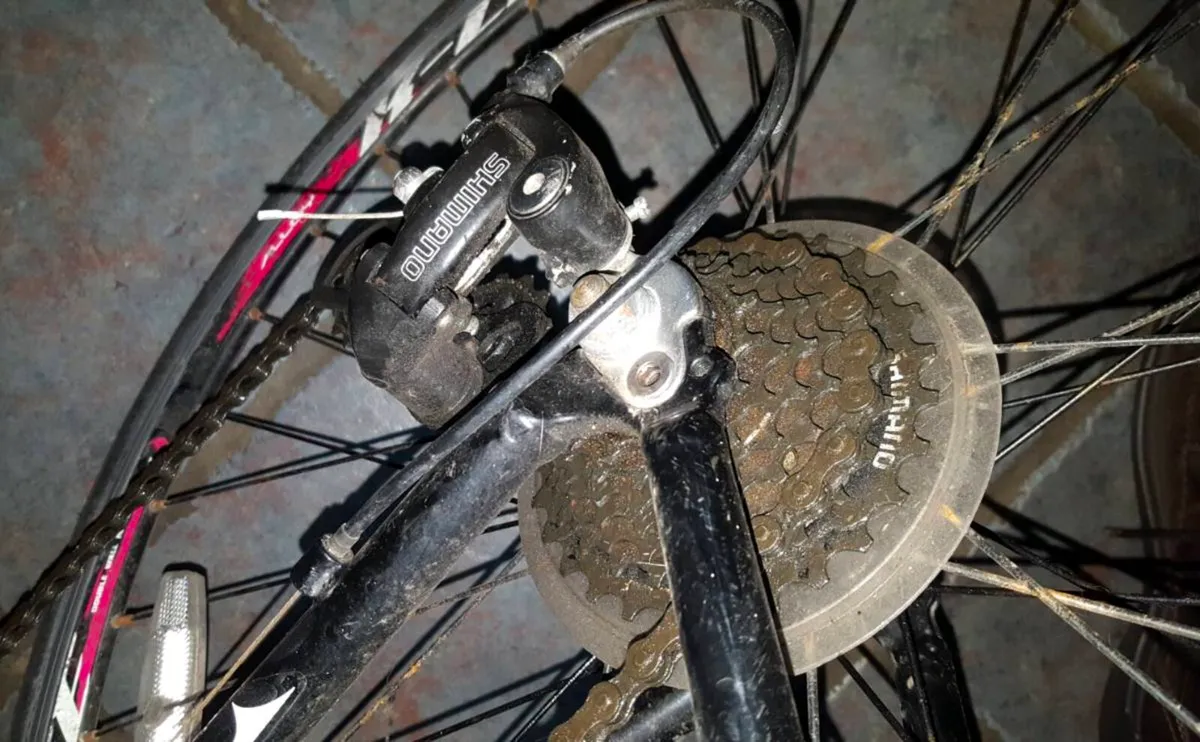 K-Lite Italia Racer bicycle - Image 3
