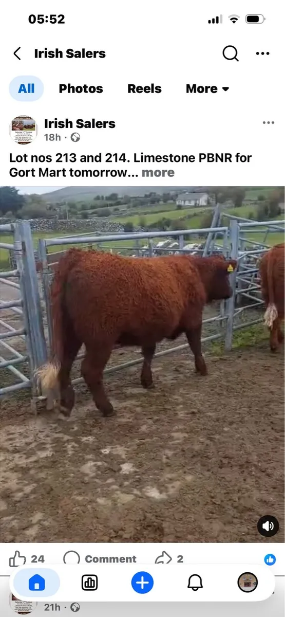 Get Mart: Saler & SalerX show & sale : 17th Oct - Image 4