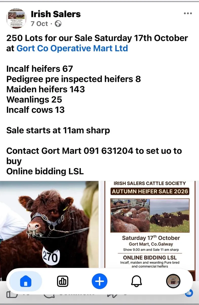 Get Mart: Saler & SalerX show & sale : 17th Oct - Image 1