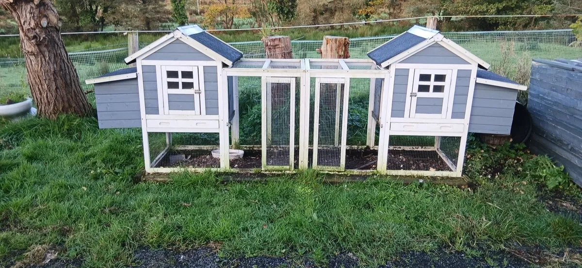 Chicken coop and chickens - Image 1