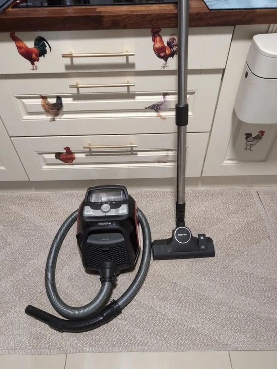 Hoover - Image 1