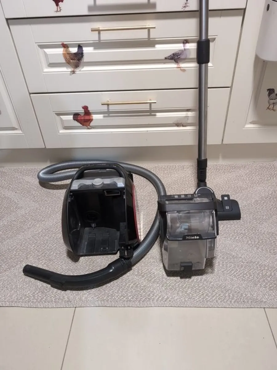 Hoover - Image 2
