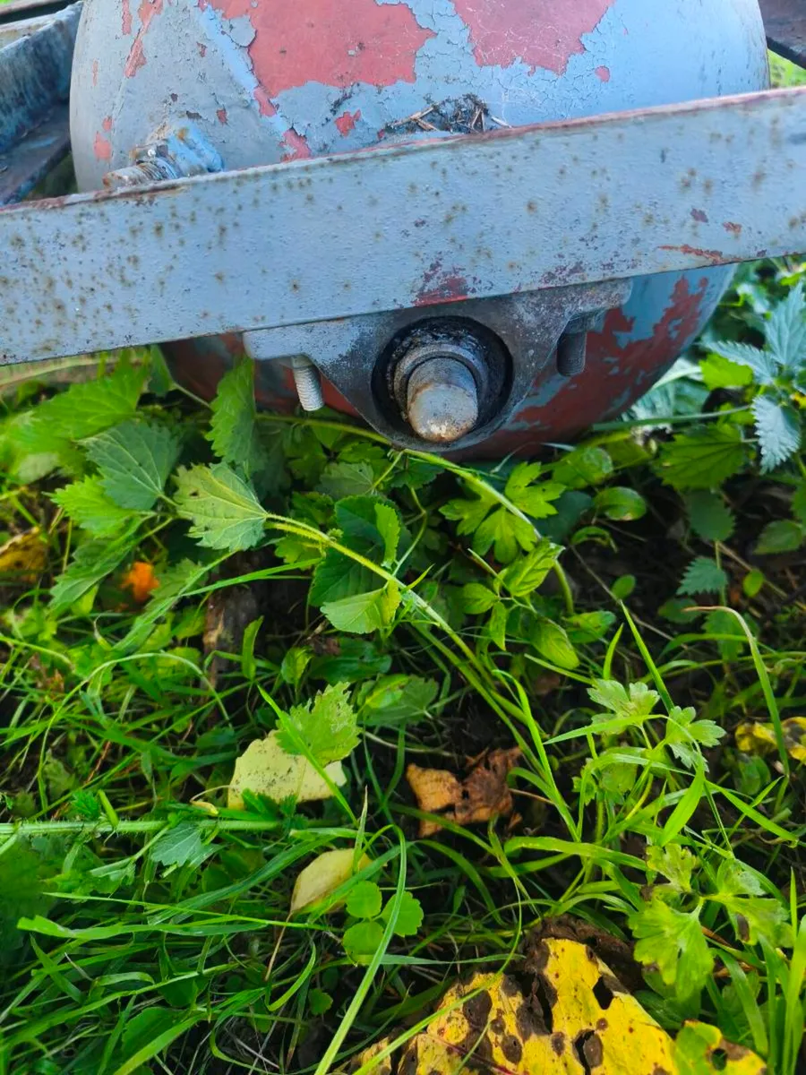 Garden roller - Image 3