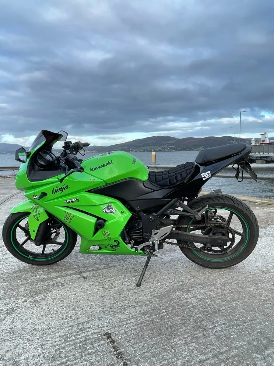 Kawasaki Ninja 250R Sport - Image 1