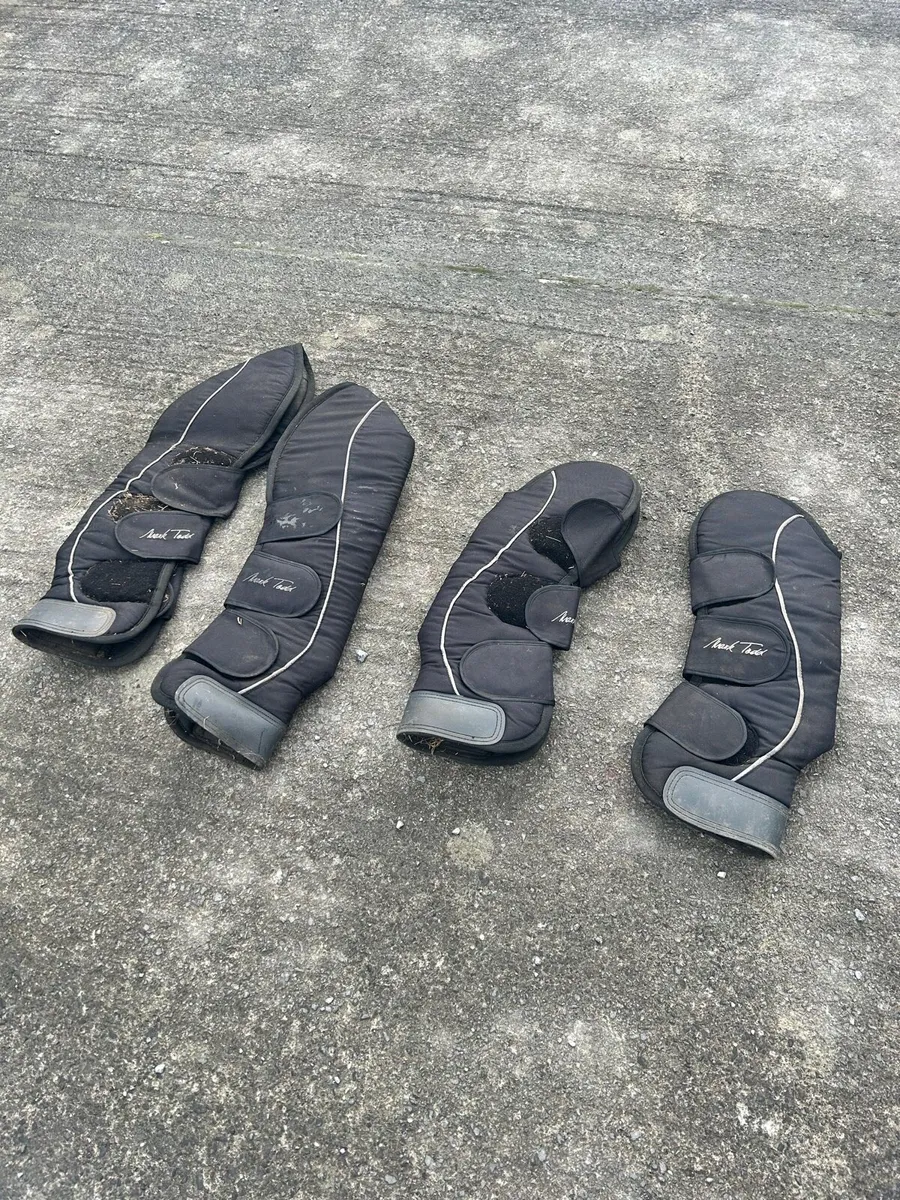 Selection of girths , bridles , travel boots etc - Image 2