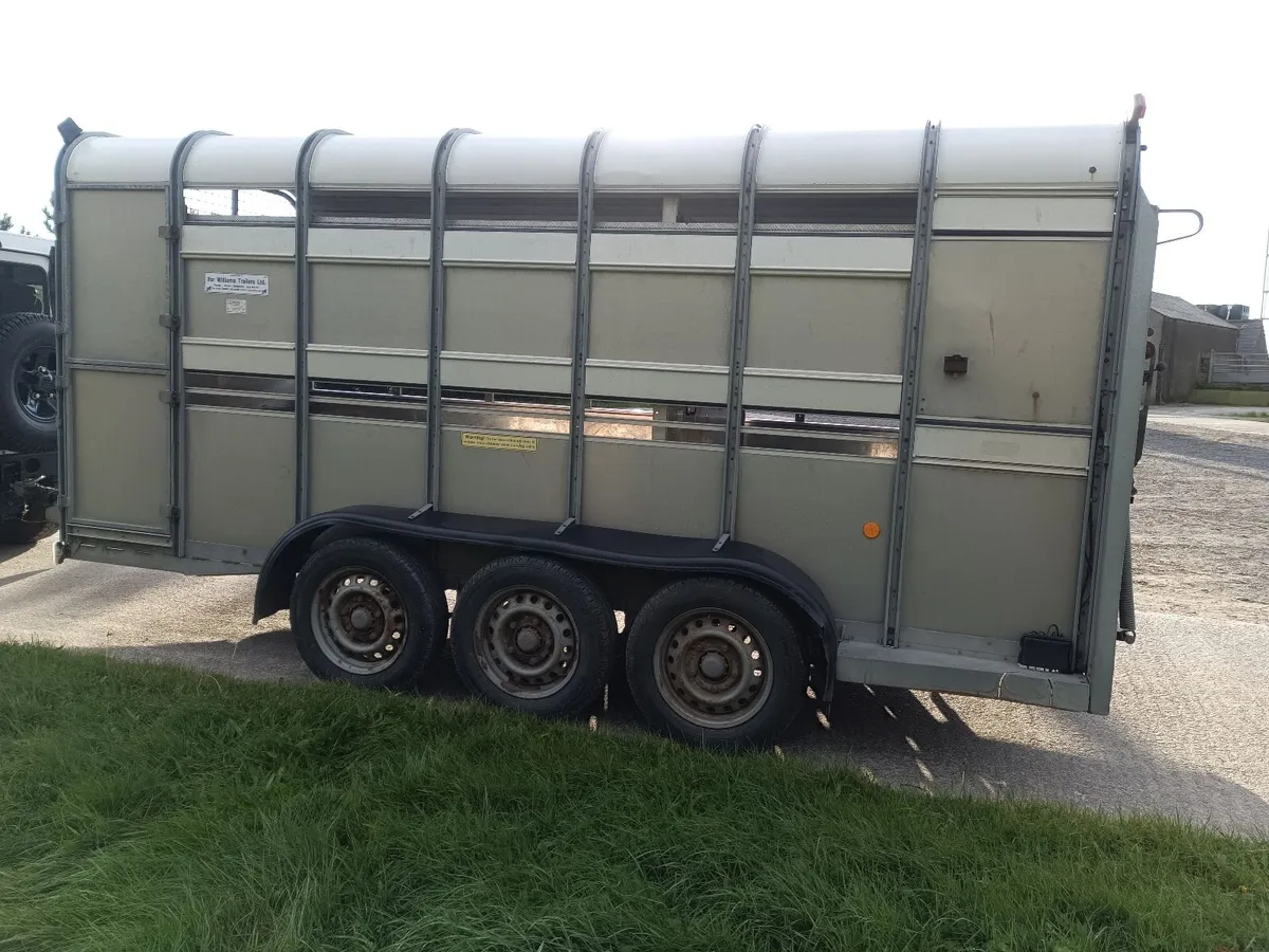 Livestock trailer 14ft triaxle - Image 1