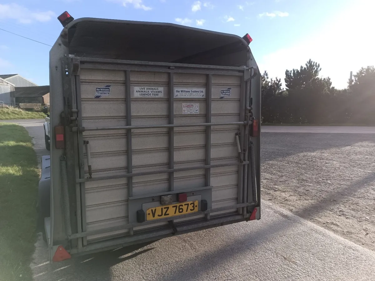 Livestock trailer 14ft triaxle - Image 2