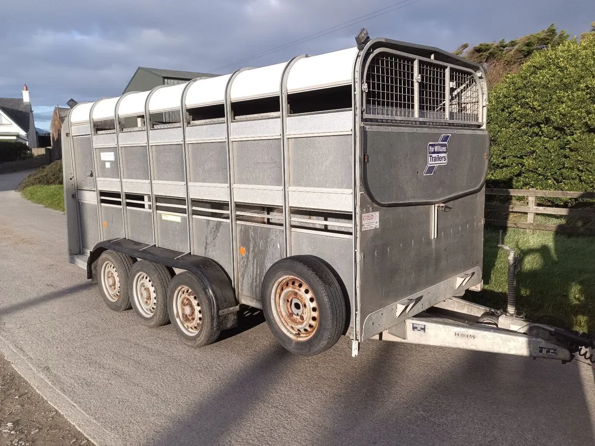 Livestock trailer 14ft triaxle - Image 3