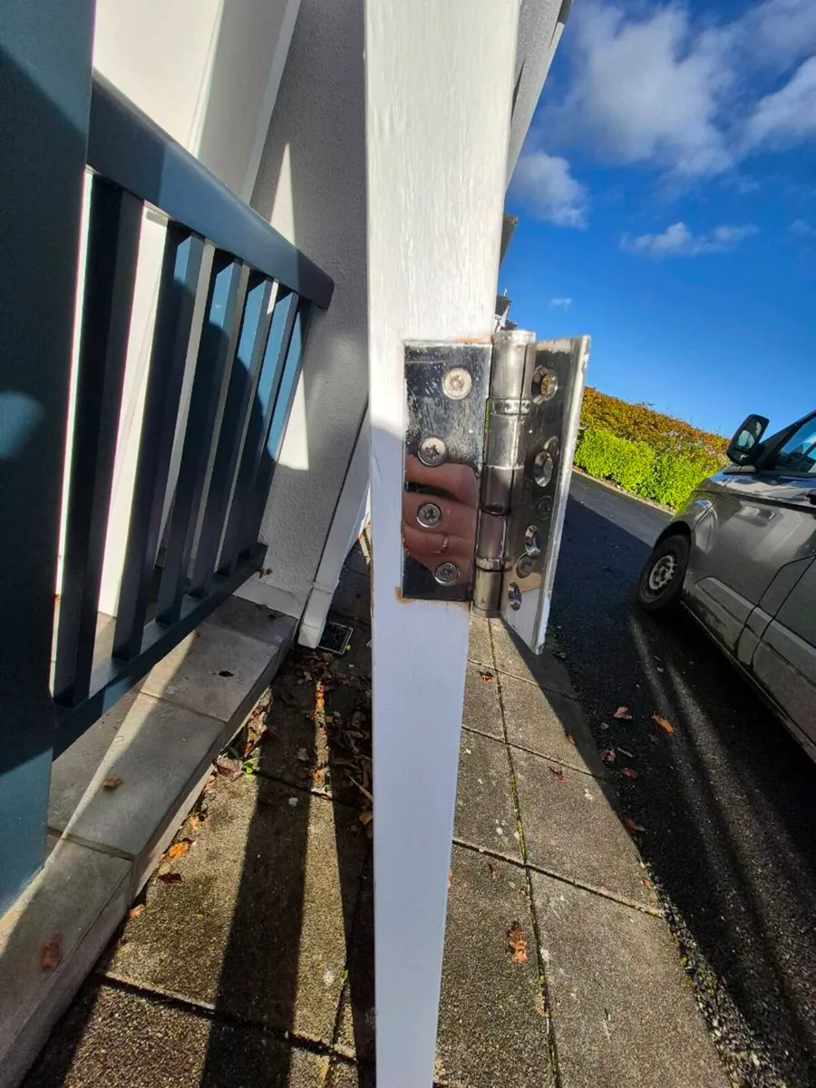 Doors - Image 4